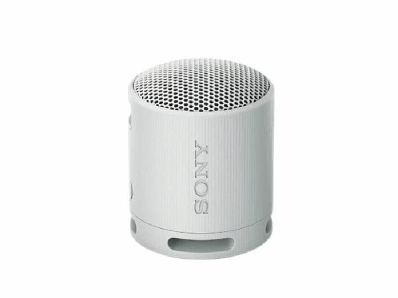 SONY SRS-XB100 (Gray) Wireless Portable Speaker