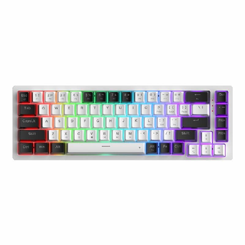 GAMEN TITAN 5 PRO (WHITE BLACK) SILVER SWITCH MECHANICAL GAMING KEYBOARD
